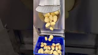 ERANYA street food 怡然缘土豆去皮机 potato peeler machine