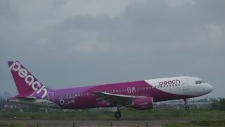 ピーチアビエーション　「ルネガール」＠仙台空港