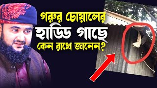 গরুর চোয়ালের হাড্ডি বাড়িতে ঝুলিয়ে রাখলে যা হয় । Mustafiz rahmani new waz 2022