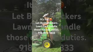 Lawn care, landscaping, brush removal. Call us at 918-803-1833