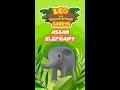 Asian Elephant | Leo the Wildlife Ranger | #shorts