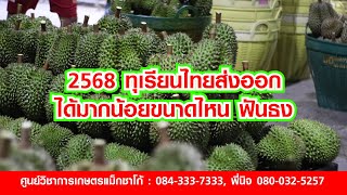 2568 ทุเรียนไทยส่งออกได้หรือไม่ได้มากน้อยขนาดไหน ฟันธง!!