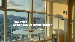 서울 북서향 복층 오피스텔에서 살아남기 브이로그 / THE DAYS IN MY SEOUL APARTMENT (VLOG)