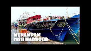 Munambam Fish Harbor