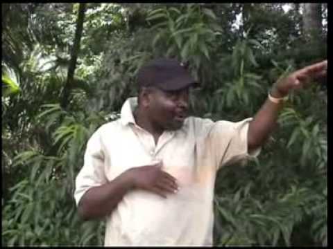 Phungu Joseph Nkasa - Chilungamo - YouTube