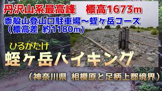 [神奈川100名山]丹沢山系最高峰 蛭ヶ岳 ハイキング -黍殻山登山口駐車場～八丁坂ノ頭～蛭ヶ岳-