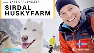 Sirdal Husky Farm - Ekte Oppleveser | Norway Adventures