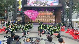 【GARAN43/35°】東京よさこい2024 前夜祭 池袋西口公園前 #池袋 #yosakoi #dance  GX011082