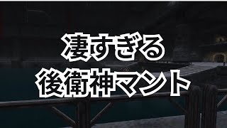 脳筋揃いのLSなのでフィフォレケープを取りに行く【FF11初心者】