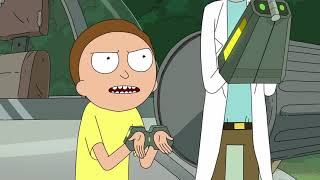 Morty Versus President / Rick and Morty