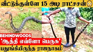 வீட்டில் திடீர் ENTRY தந்த 15 அடி ராஜநாகம்...'சிலையாய் மாறிபோன குடும்பம்' ஆத்தி எவ்ளோ பெருசு