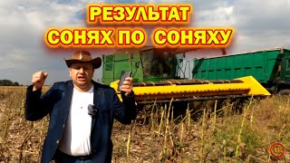 🤔 ЯКИЙ СОНЯШНИК 🌻 ДАВ БІЛЬШУ ВРОЖАЙНІСТЬ  ⁉️ #НСХ8005 #Тор+ #Евросем #Агролідер