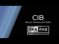 The CIB Depalletizer by Ska Fabricating