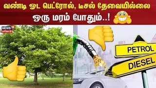 வண்டி ஓட பெட்ரோல், டீசல் தேவையில்லை ஒரு மரம் போதும் | Millettia Pinnata | Petrol | Diesel | Vehicle