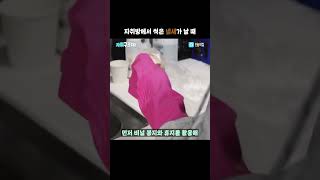 자취방 썩은 냄새의 원인, 생각지 못한 곳에 있다? #shorts