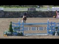 horsejunkiesunited.com leslie howard and utah bromont csi w