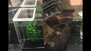 DIY Betta Fish Aquarium