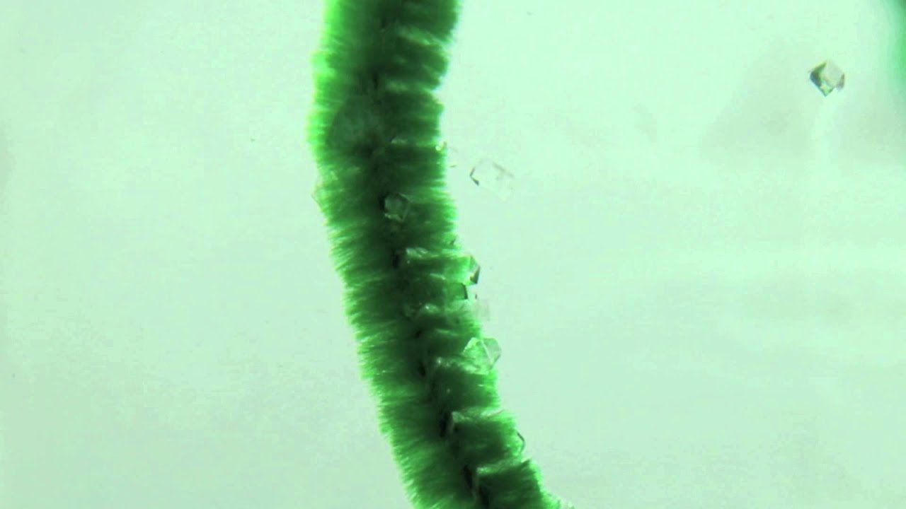 Crystallization Timelapse Youtube