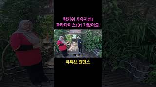 말레이시아 랑카위에 사유지섬이 있다? 파라다이스101섬 가봤습니다! #랑카위여행 #말레이시아여행 #말레이시아한달살기 #랑카위 #원먼스