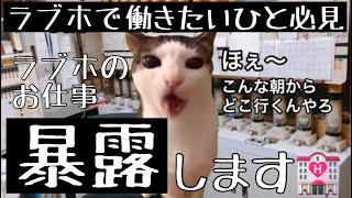 【ラブホの裏側】深夜フロントのお仕事【猫ミーム】【猫マニ】