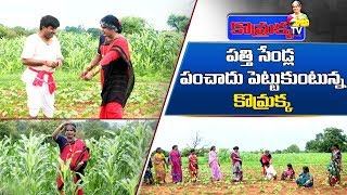 పత్తి సెండ్ల పంచాదు పెట్టుకుంటున్న కొమ్రక్క | Jabardasth Komaram