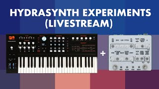 Hydrasynth meets the 856 for Zellersasn, a live-looping experiment