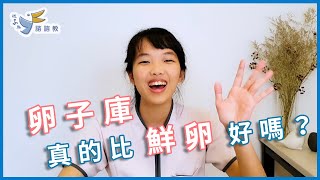 【送子鳥諮諮教】借卵用卵子庫真的比鮮卵好嗎？