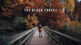 Discover the Black Forest of Germany with me