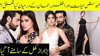 Mehwish Hayat and Azfar Rehman relationship | Desi Tv