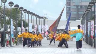 大阪守口熱渡宝夢　海への道会場