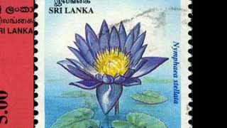 Flowers On Postage Stamps