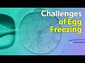 A Woman Turns to Egg Freezing to Start a Family