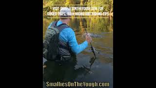 WADE Fishing for Smallmouth Bass #bassfishing #smallmouth #fishing #bass