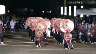 ピンクチャイルド　第15回ドリーム夜さ来い祭り　2016.11.6　お台場会場