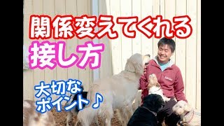 犬のしつけで関係性を良好に出来る愛犬との接し方【幼稚園生実演】