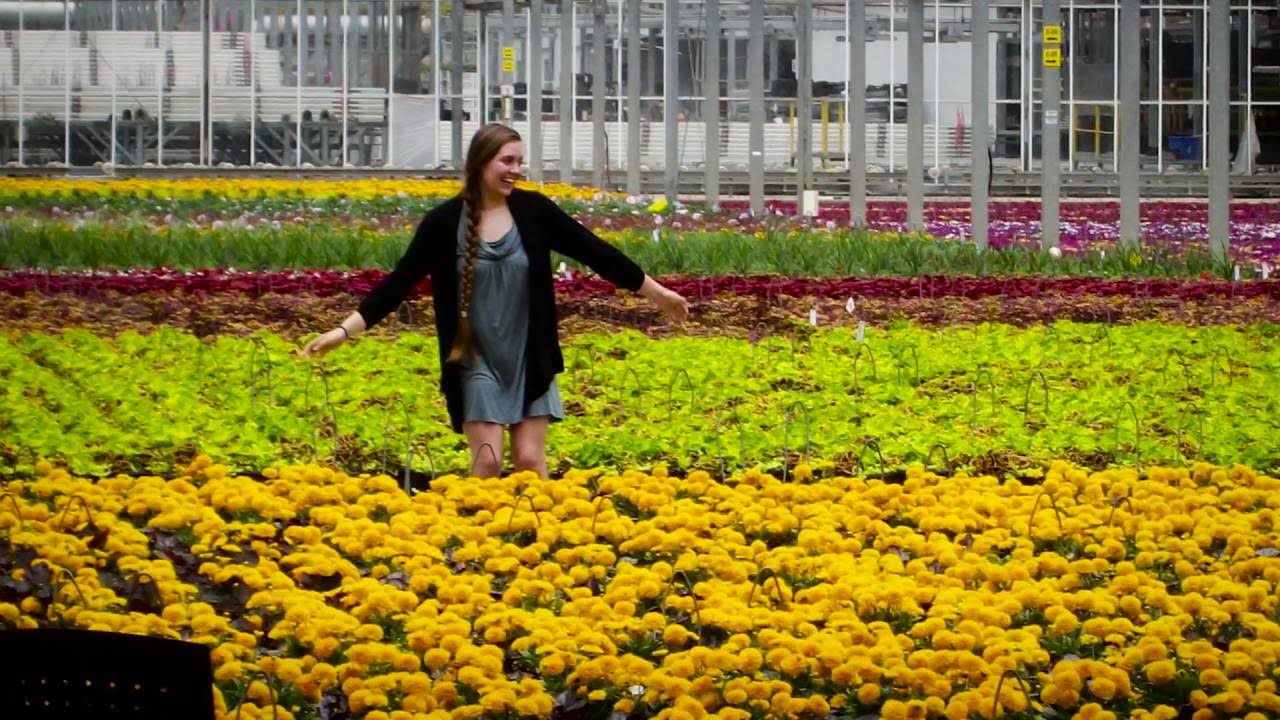 Ready For A Career In Floriculture Or Horticulture? - YouTube