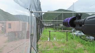 M14精度調整済み０．２５ｇでの５０ｍ弾道確認