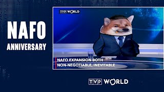 NAFO anniversary with host Jonasz Rewiński | TVP World