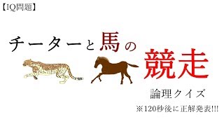 【IQ問題】『チーターと馬の競争』---論理クイズ---正解は120秒後に!!（iqテスト）