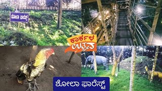 Karkala Utsava/Shola forest/ಕಾರ್ಕಳ ಉತ್ಸವದಲ್ಲಿ ಶೋಲಾ ಫಾರೆಸ್ಟ್ ನ ಕಣ್ಮನ ಸೆಳೆಯುವ ದೃಶ್ಯ.