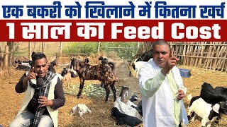 Goat Farming में एक बकरी को एक साल खिलाने में कितना खर्च होता है Feed Cost  in Goat Farming Business