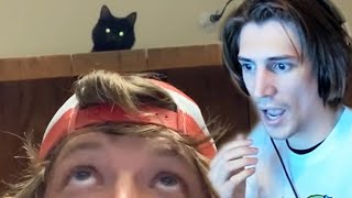 xQc GOES INSANE Watching UNUSUAL MEMES COMPILATION V159