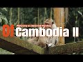 Welcome to Beloved Monkeys Of Cambodia, everyone.