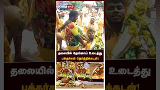 தலையில் தேங்காய் உடைத்து பக்தர்கள் நேர்த்திக்கடன்! | Pappireddipatti