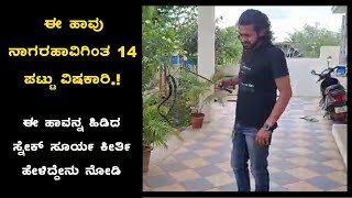 ಈ ಹಾವು ನಾಗರಹಾವಿಗಿಂತ 14 ಪಟ್ಟು ವಿಷಕಾರಿ.! ಈ ಹಾವನ್ನ ಹಿಡಿದ ಸ್ನೇಕ್ ಸೂರ್ಯ ಕೀರ್ತಿ ಹೇಳಿದ್ದೇನು ನೋಡಿ