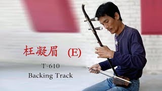 枉凝眉 二胡-(E)-( T-610 )-Backing Track-