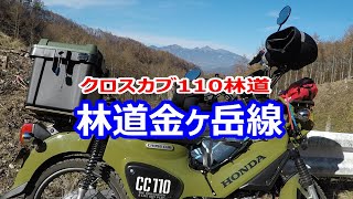 [林道]クロスカブ110 ツーリング ❗️山梨 林道金ヶ岳線 全線収録動画‼️