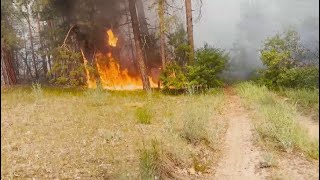 Абай облысындағы қайғылы оқиғаға байланысты қылмыстық іс қозғалды