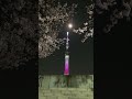 東京スカイツリー　ライトアップ　桜　さくら　舞　桜の花びらが舞う美しさをテーマ　✿　隅田公園　大寒桜　満開　☆　満月翌日　月　♬　2023年3月8日　ムーンナイト　台東区浅草