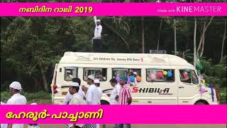 Nabidina Rally Pachani (scout) ഇത് പോലോത്തൊരു സ്കൗട്ട് നിങ്ങൾ കണ്ടിട്ടുണ്ടോ..